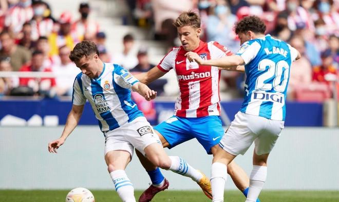 兰大的后卫 兰大的后卫